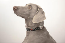 Load image into Gallery viewer, Car Parts Dog Collar, Buckle Style
